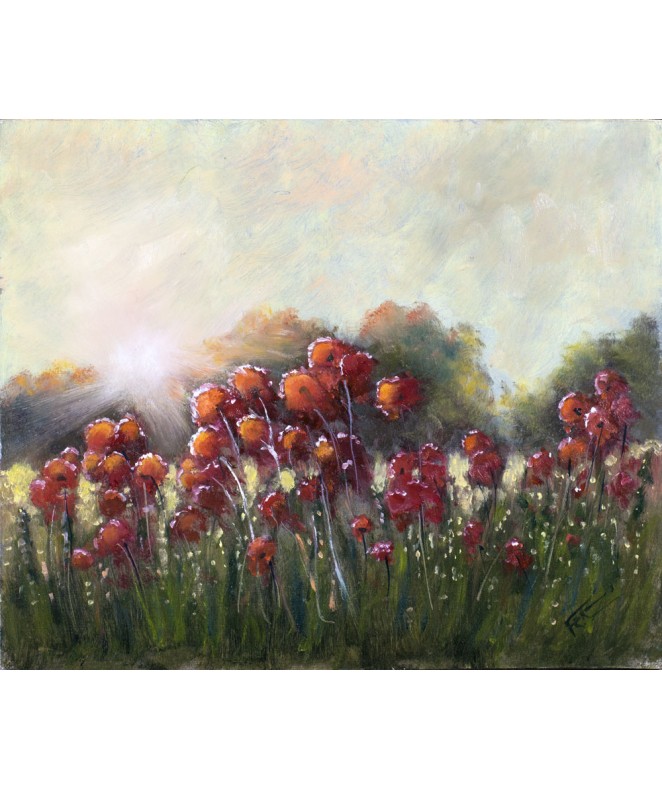 Poppies in Early Morning Sunlight